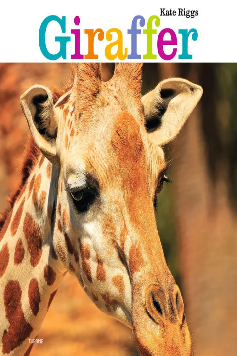 Omslag: Giraffer