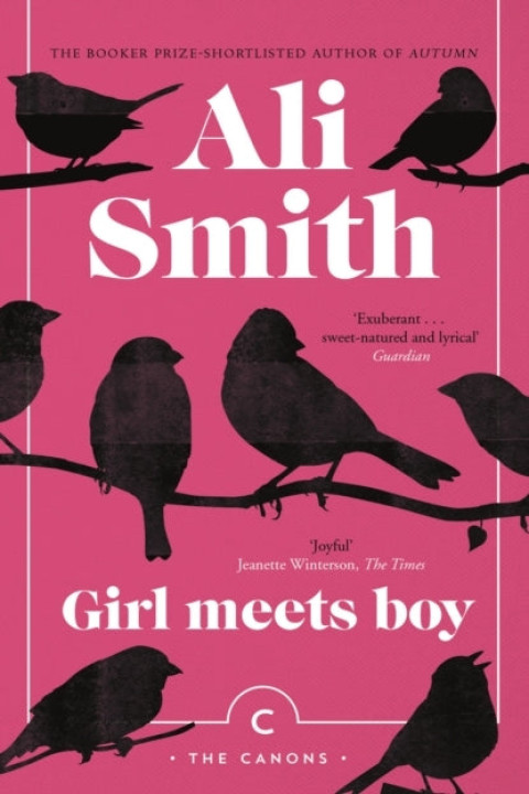 Omslag: Girl Meets Boy