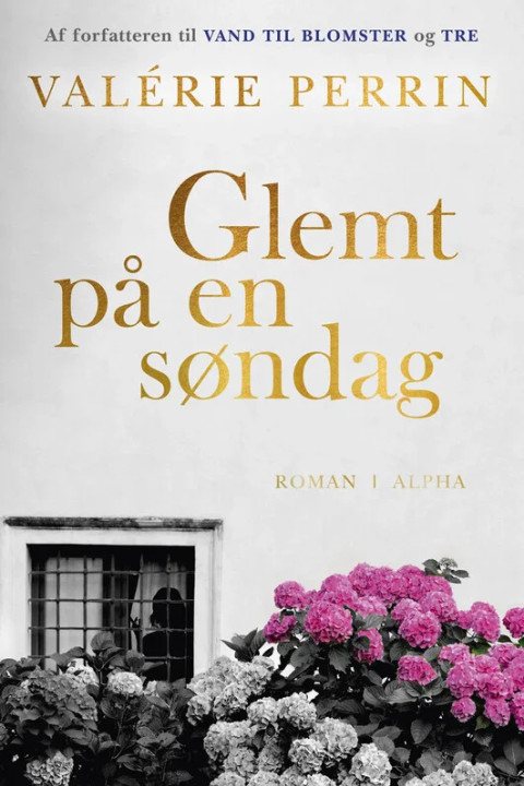 Omslag: Glemt på en søndag