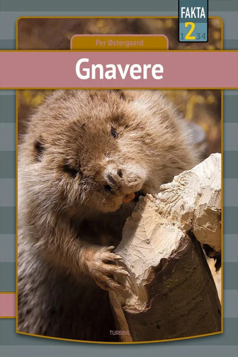 Omslag: Gnavere