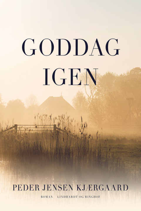 Omslag: Goddag igen