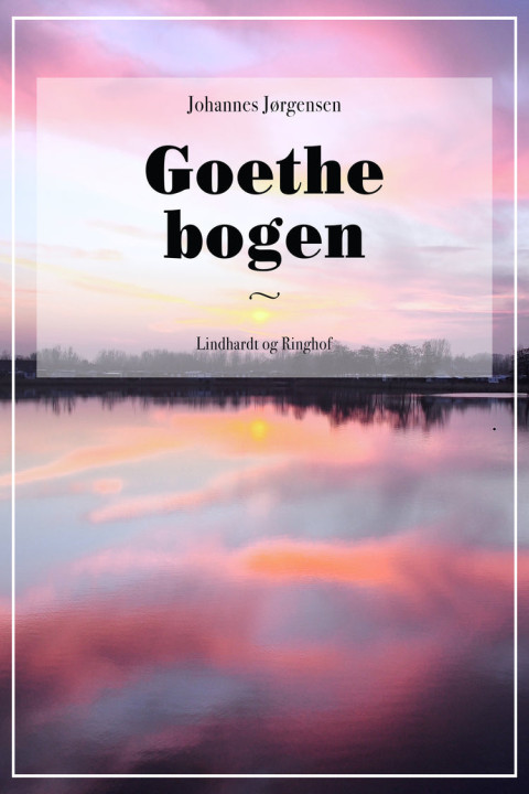 Omslag: Goethe bogen