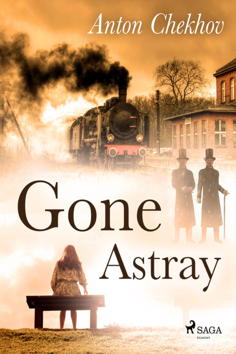 Omslag: Gone Astray