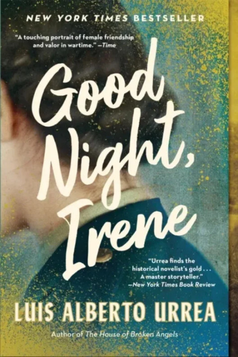 Omslag: Good Night, Irene - A Novel