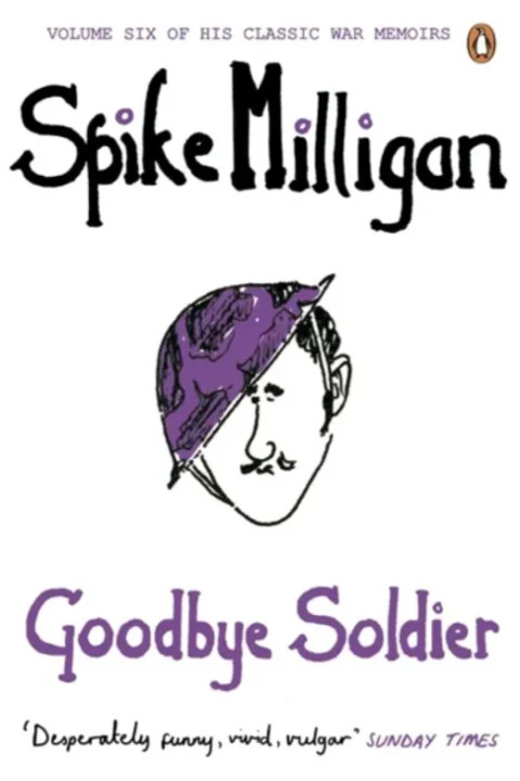Omslag: Goodbye Soldier