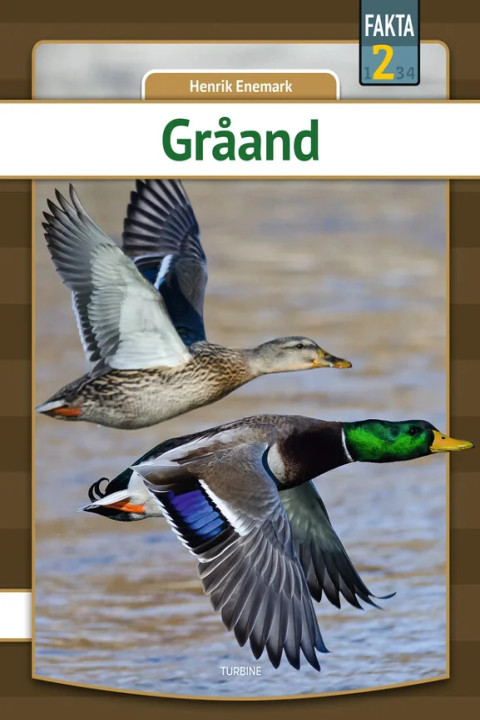 Omslag: Gråand