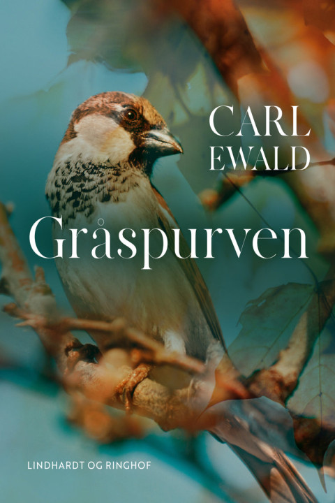 Omslag: Gråspurven