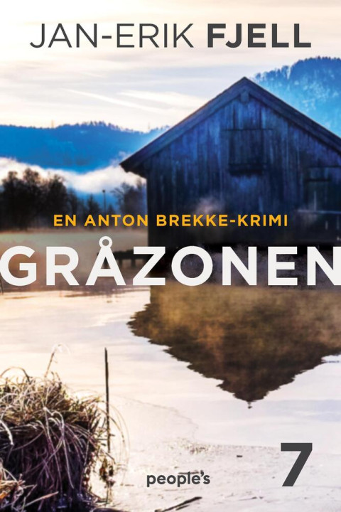 Omslag: Gråzonen
