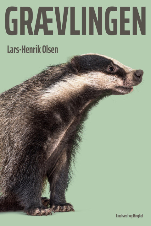 Omslag: Grævlingen