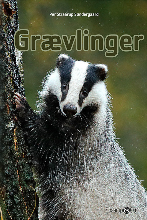 Omslag: Grævlinger