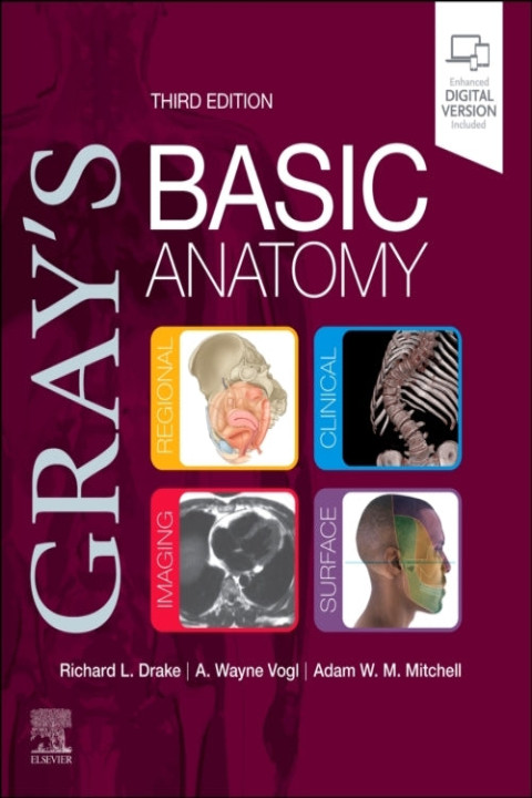 Omslag: Gray s Basic Anatomy