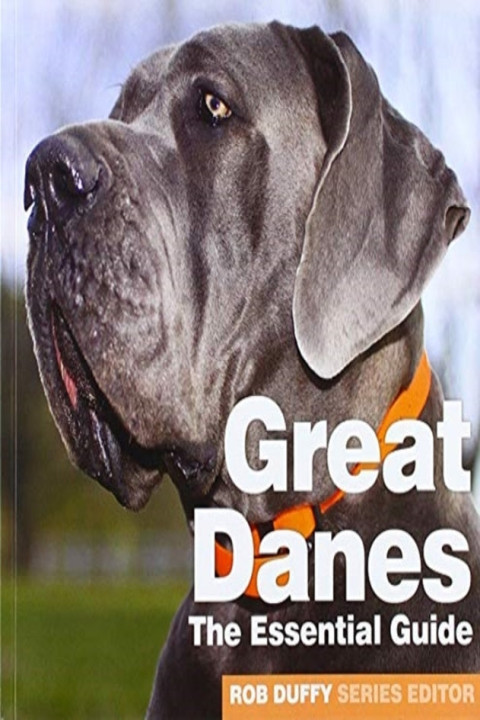Omslag: Great Danes