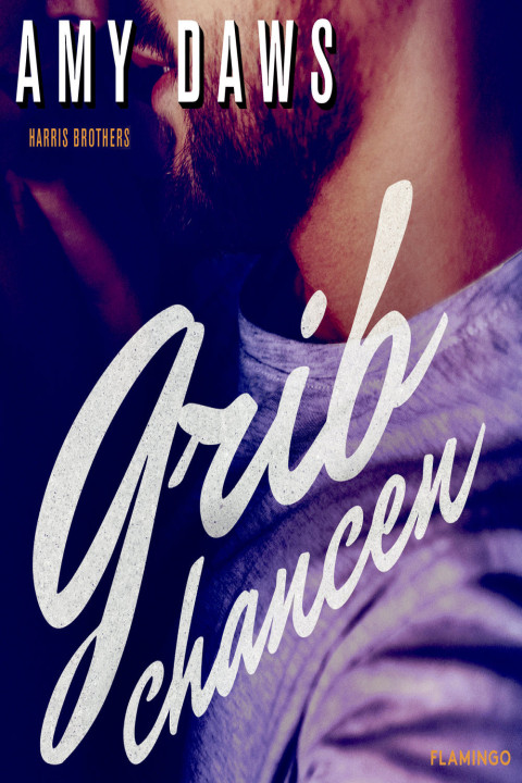 Omslag: Grib chancen