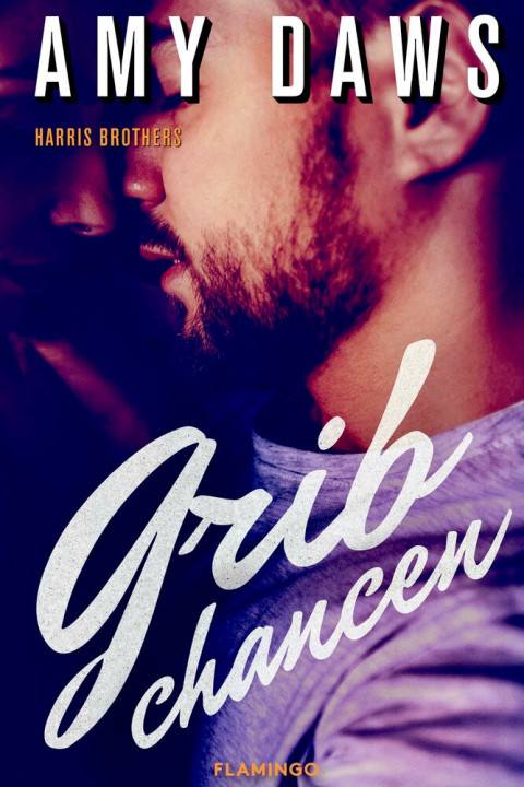 Omslag: Grib chancen