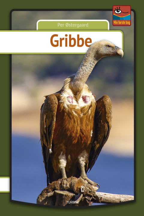 Omslag: Gribbe