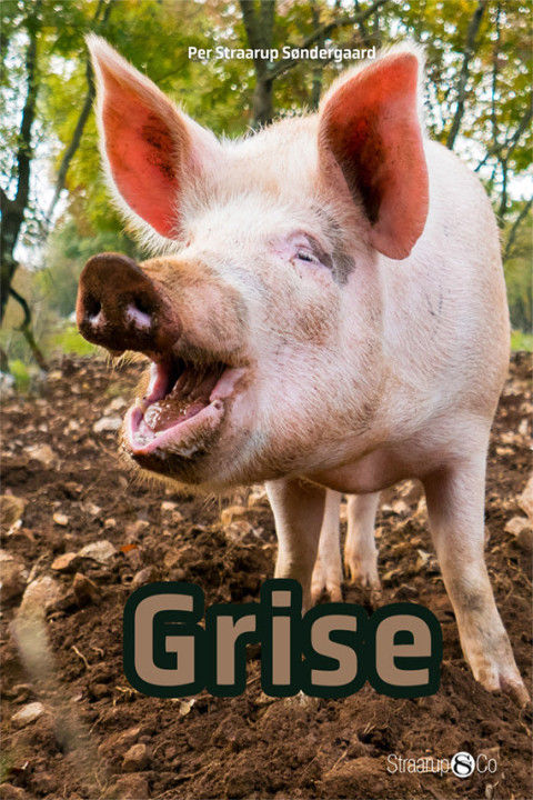 Omslag: Grise