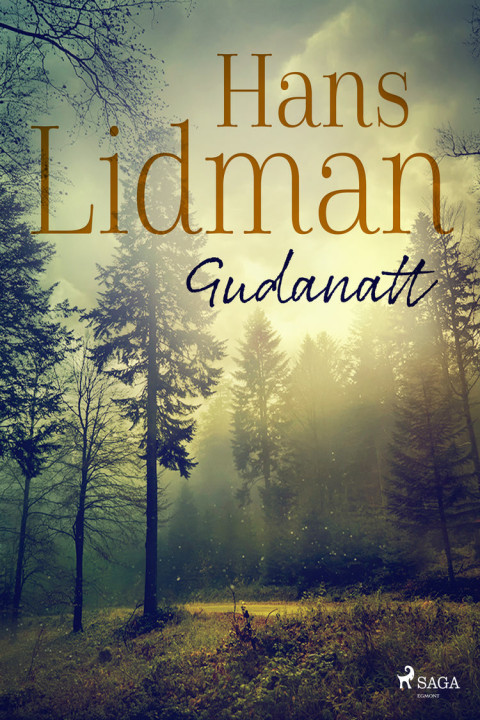 Omslag: Gudanatt