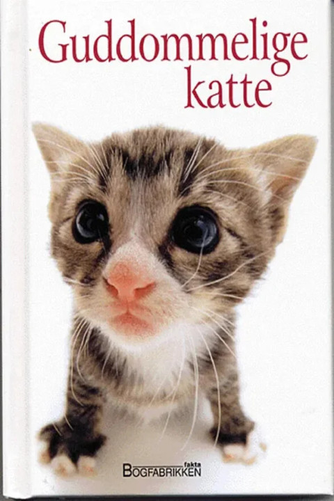 Omslag: Guddommelige katte
