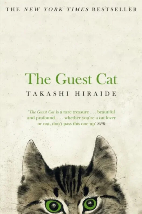 Omslag: Guest Cat