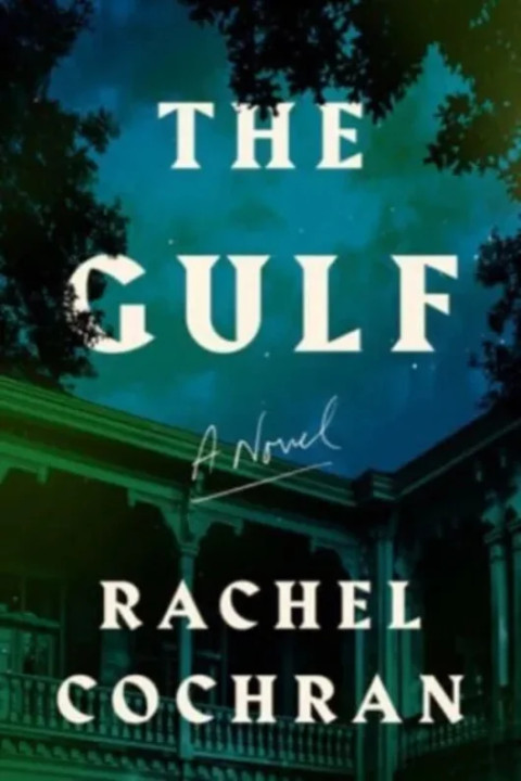 Omslag: Gulf - A Novel