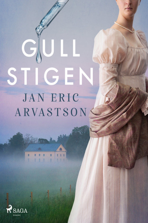 Omslag: Gullstigen