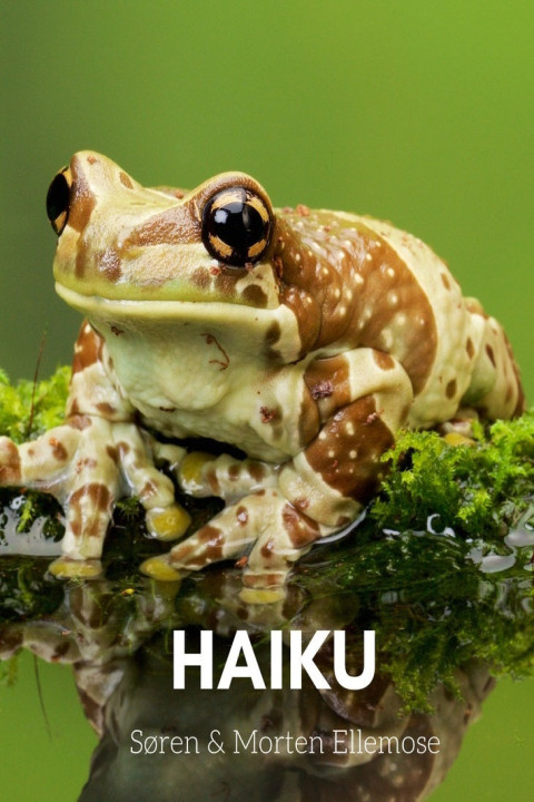 Omslag: HAIKU