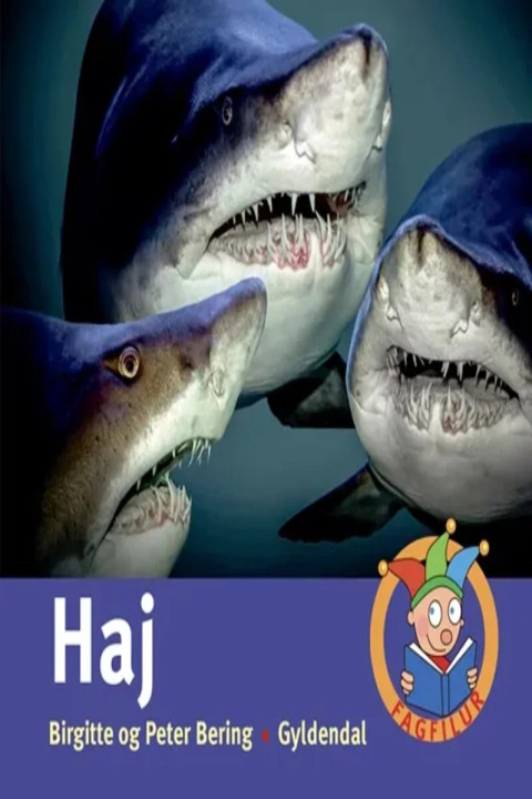 Omslag: Haj