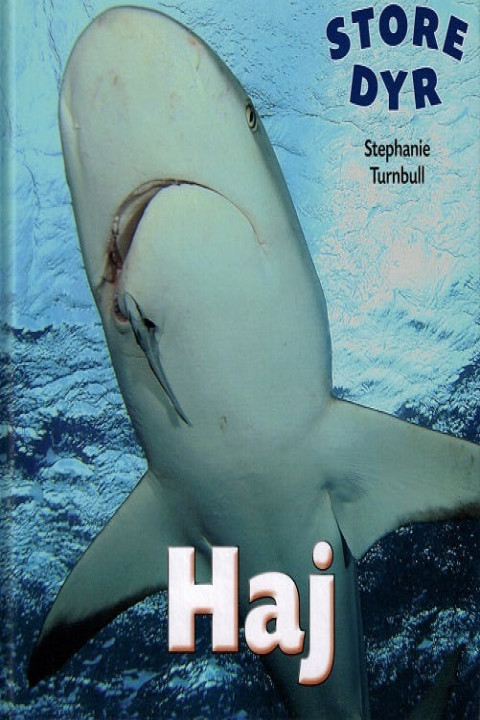 Omslag: Haj