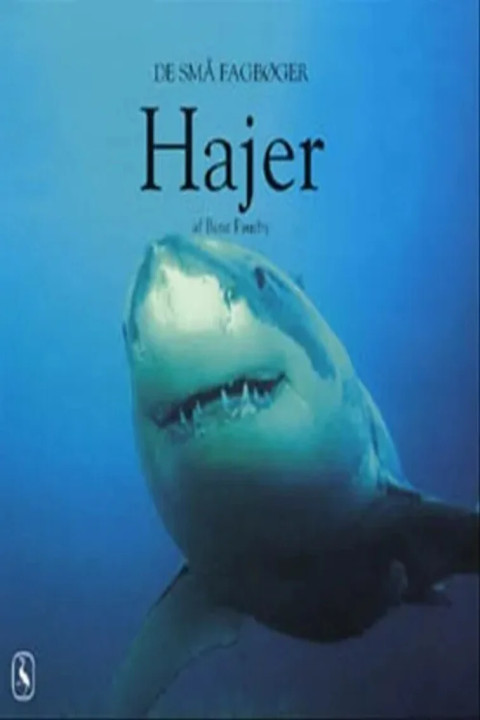 Omslag: Hajer