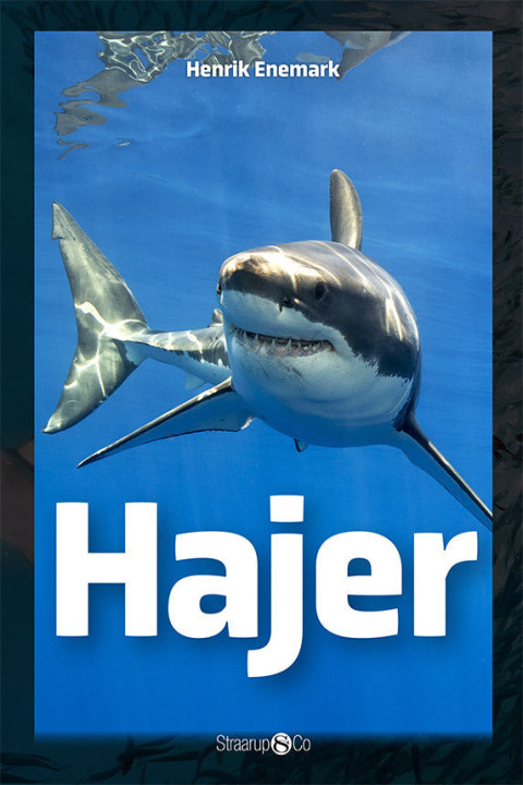 Omslag: Hajer
