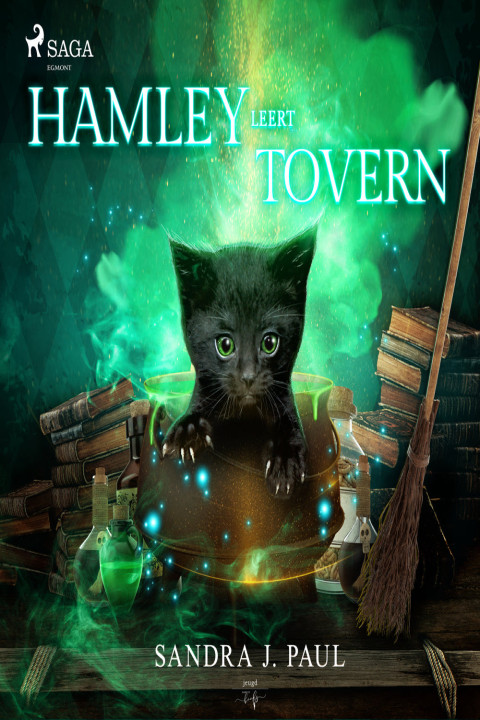 Omslag: Hamley leert toveren
