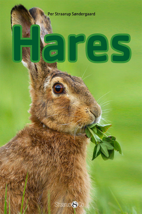 Omslag: Hares