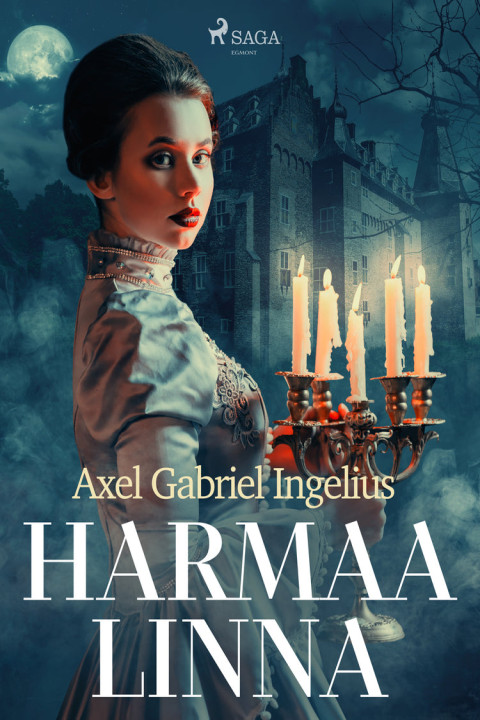 Omslag: Harmaa linna