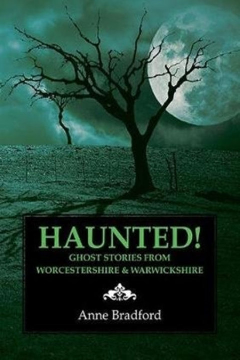 Omslag: HAUNTED!