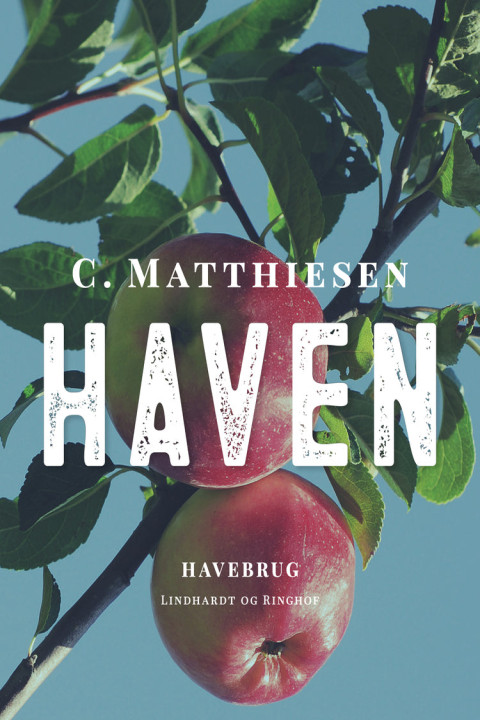 Omslag: Haven