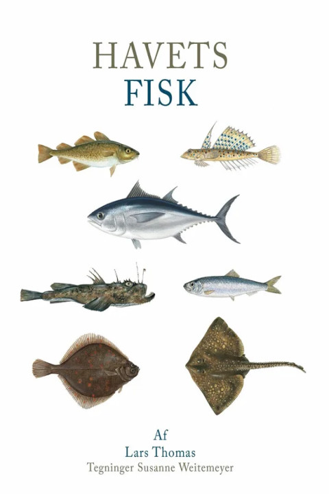 Omslag: Havets fisk