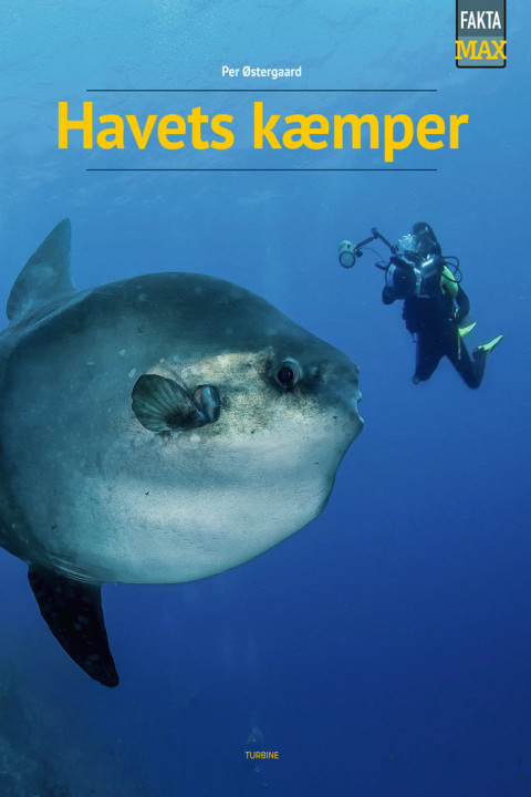 Omslag: Havets kæmper