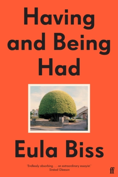 Omslag: Having and Being Had