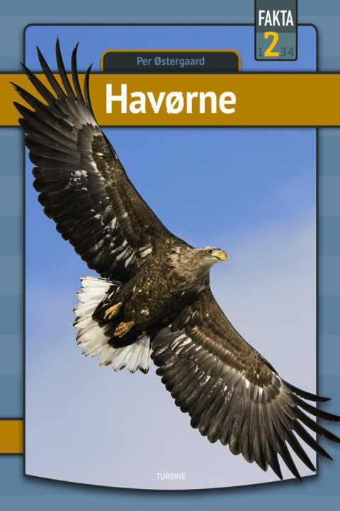 Omslag: Havørne