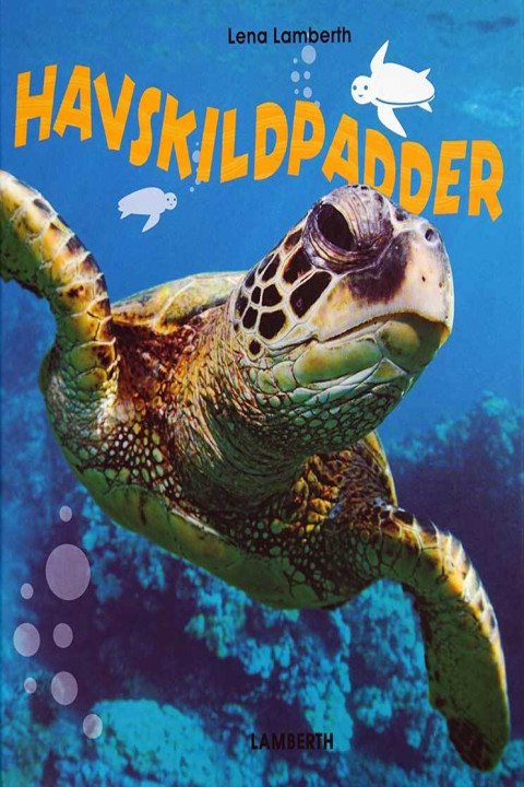 Omslag: Havskildpadder