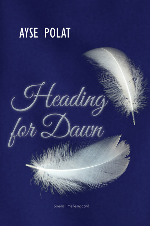 Omslag: Heading for Dawn