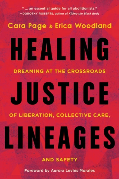 Omslag: Healing Justice Lineages