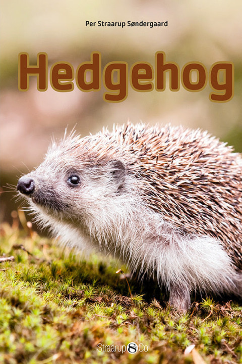 Omslag: Hedgehog