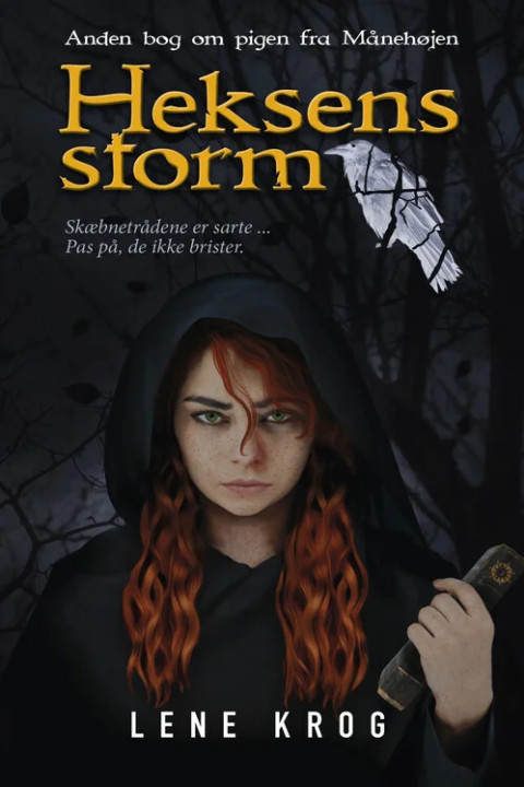 Omslag: Heksens storm