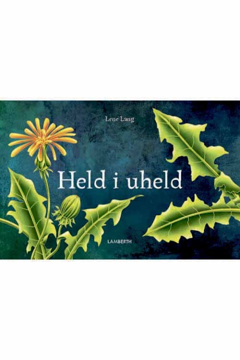 Omslag: Held i uheld