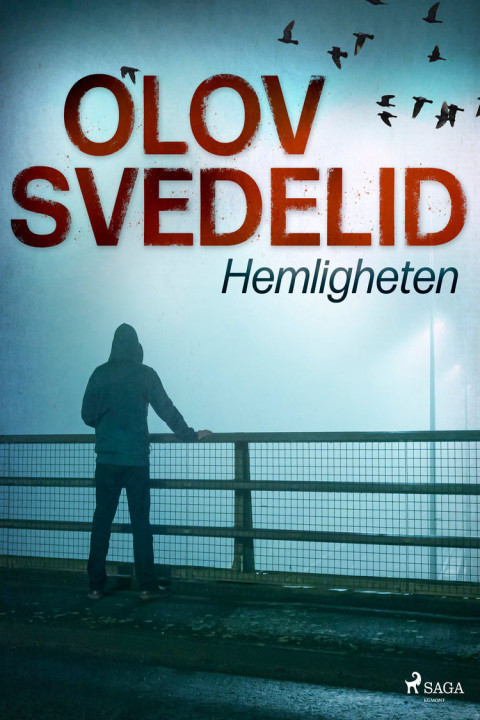 Omslag: Hemligheten