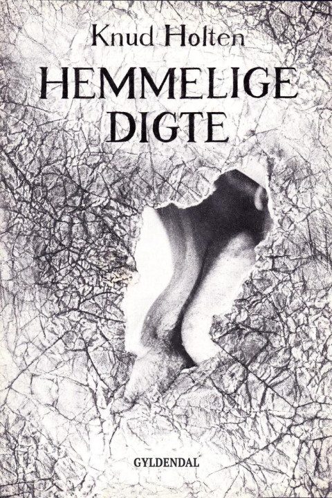 Omslag: Hemmelige digte