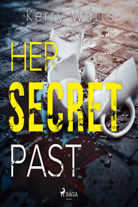 Omslag: Her Secret Past