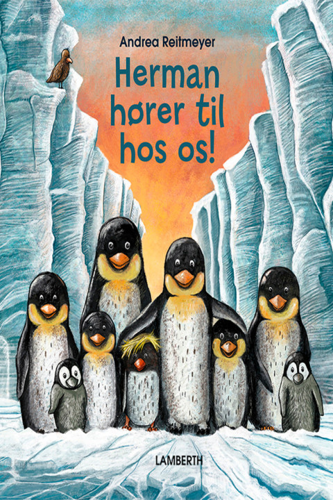 Omslag: Herman hører til hos os!