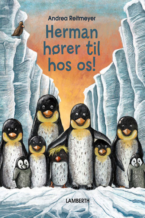 Omslag: Herman hører til hos os!